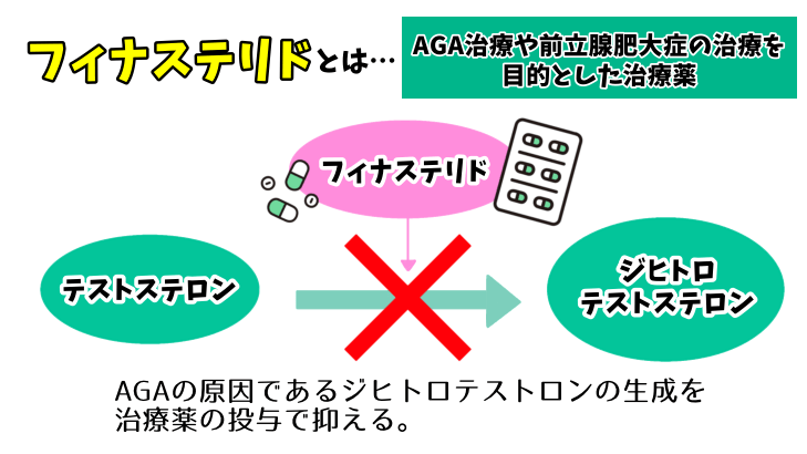 フィナステリドとは？副作用や注意点・服用期間・費用の目安