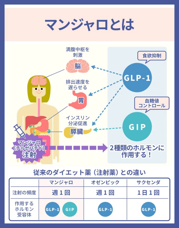 マンジャロとは?